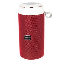 Caixa de Som Ecopower EP-2369 SD / USB / Bluetooth