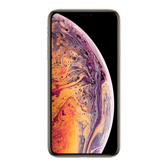 Apple iPhone XS Max 64GB Recondicionado