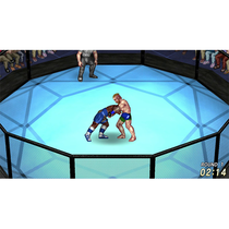 Game Fire Pro Wrestling World Playstation 4 foto 2