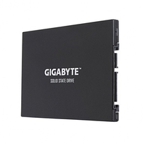 HD Gigabyte SSD 256GB Ud Pro GP-GSTFS30256GTTD 2.5" foto 1