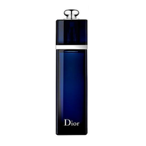 Perfume Christian Dior Addict Eau de Parfum Feminino 100ML