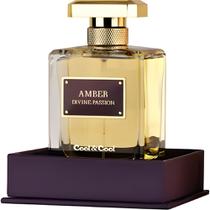 Perfume Cool & Cool Amber Divine Passion Eau de Parfum Feminino 100ML