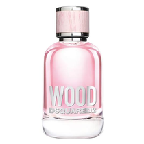 Perfume Dsquared2 Wood Eau de Toilette Feminino 100ML foto principal