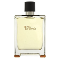 Perfume Hermes Terre D'Hermes Eau de Toilette Masculino 100ML