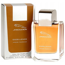 Perfume Jaguar Excellence Eau de Toilette Masculino 100ML