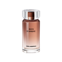 Perfume Karl Lagerfeld Bois D'Ambre Eau de Toilette Masculino 100ML