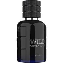 Perfume Linn Young Wild Adventure Absolu Eau de Toilette Masculino 100ML