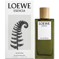 Perfume Loewe Esencia Eau de Parfum Masculino 100ML