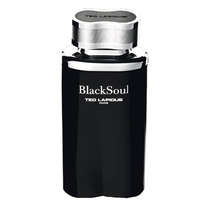 Perfume Ted Lapidus Black Soul Eau de Toilette Masculino 100ML foto principal