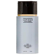 Perfume Ted Lapidus Pour Homme Eau de Toilette Masculino 100ML foto principal