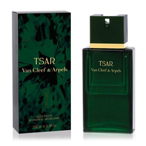 Perfume Van Cleef & Arpels Tsar Eau de Toilette Masculino 100ML foto 1