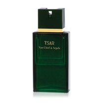 Perfume Van Cleef & Arpels Tsar Eau de Toilette Masculino 100ML foto principal
