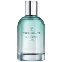 Perfume Victorinox Swiss Army Morning Dew Eau de Toilette Feminino 100ML