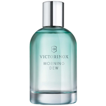 Perfume Victorinox Swiss Army Morning Dew Eau de Toilette Feminino 100ML