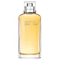 Perfume Davidoff Horizon Eau de Toilette Masculino 125ML