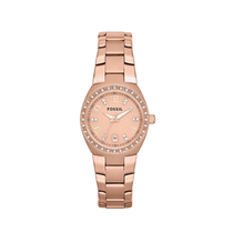 Relógio Fossil AM4508 Feminino
