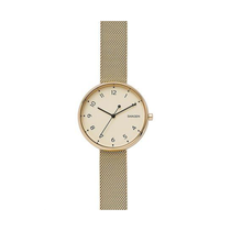 Relógio Skagen SKW2625 Feminino