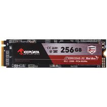 SSD M.2 Keepdata KDNV256G-J12 256GB foto principal