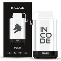 Vaper Descartável Incode Polar 20000 Puffs foto principal