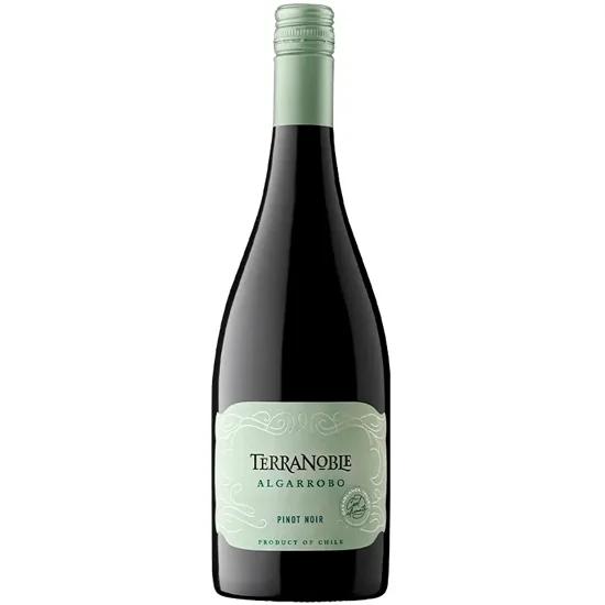 Vinho Terranoble Algarrobo Pinot Noir 750ML