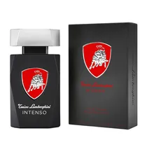 Perfume Masculino Tonino Lamborghini Intenso Edt 125ML