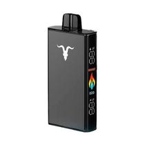 Vaper Ignite V250 Gold 25000 Puff Blueberry Ice