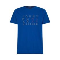 Camiseta TH MW0MW25950 C5K Masculino