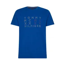 Camiseta TH MW0MW25950 C5K Masculino