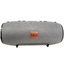 Inova Speaker RAD-008 (Charge) Gray