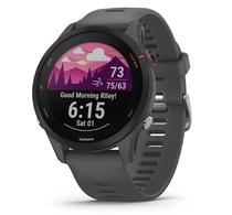 Garmin Relogio 255 Basic Slate Grey 45MM 010-02641-10