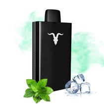 Vape Descartavel Ignite V80 8000 Puffs com 5% Nicotina - Ice Mint