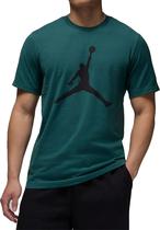 Nike Camiseta Mas. CJ0921-366 Jordan