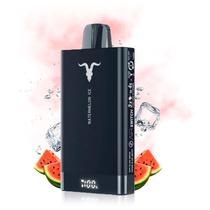 Ignite Vape V150 15000 Watermelon Ice Plastico 15000 Puffs s/C