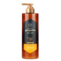 Tratamento Capilar Kerasys Royal Propolis Original 1 Litro