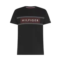 Camiseta Tommy Hilfiger MW0MW30035 BDS