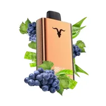 Ignite V120 Pro Rose 12000 Puffs Aloe Grape