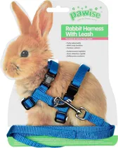 Correia de Peito para Coelhos Azul - Pawise Rabbit Harness With Leash 39087