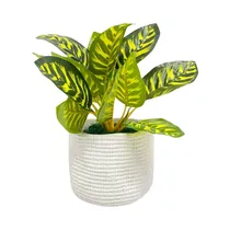 Planta Artificial En Maceta Concepts 439-357140 32 CM