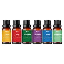 Kit de Oleos Essenciais 4LIFE Aromatherapy Set para Aromatizador com 6 Frascos de 10ML - Mix