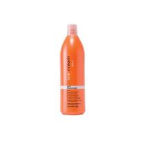 Inebrya DRY-T Conditioner 1000ML