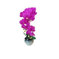 Deco Orquidea Fucsia Con Florero Degradado