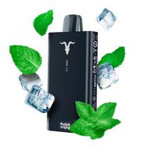 Ignite Vape V150 15000 Icy Mint Plastico 15000 Puffs s/C