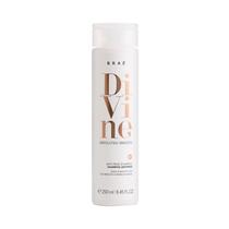 Shampoo Divine Anti-Frizz 250ML