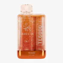 Elf Bar Te 6K Autumn