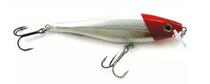 Rapala Pesca Accesorios BX Minnow BXM-10 Plastico 10 CM RH