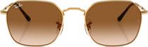 Oculos de Sol Ray Ban RB3694 001/51 53 - Feminino