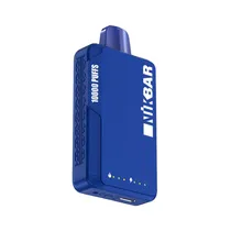 Vaper Descartável Nikbar 10000 Blueberry Raspberry