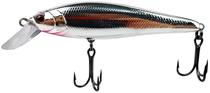 Isca Shiner King 100MR N08