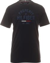 Camiseta Tommy Hilfiger MW0MW32641 DW5 - Masculina