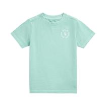 Camiseta Infantil Polo Ralph Lauren 322936169001